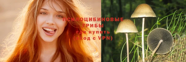 гашик Пестово