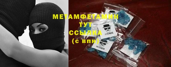 шишки Снежногорск