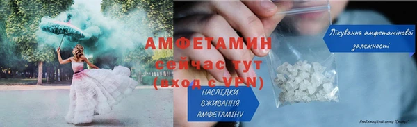 гашик Пестово