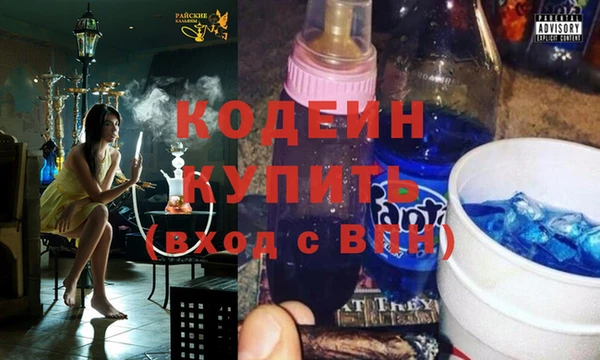 гидра Вяземский