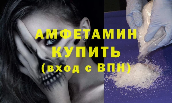 гашик Пестово