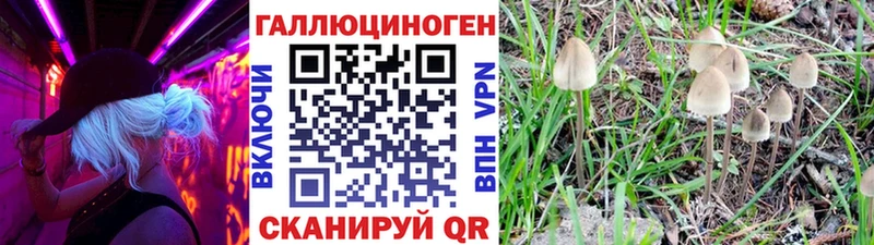 Галлюциногенные грибы мицелий Шагонар