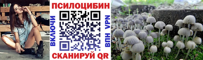 даркнет телеграм  Шагонар  Псилоцибиновые грибы Psilocybe  omg вход 