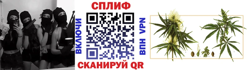 Шишки марихуана план  Шагонар 
